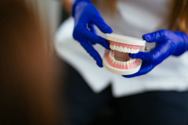 Rochester, WA Holistic Dental Care Services Company